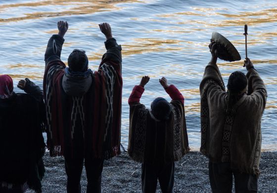 El Estado no sólo mata mapuche: también les nace