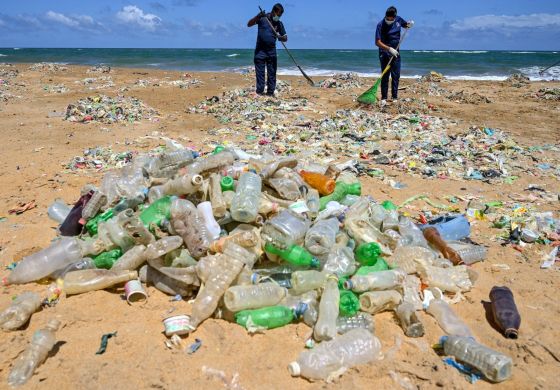 Plásticos: la amenaza que trasciende fronteras y especies