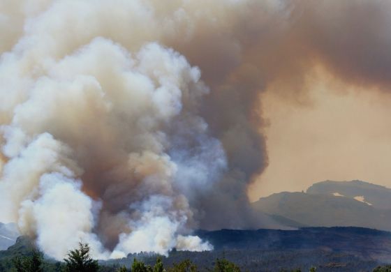 ¿Quiénes están realmente detrás del incendio en el Parque Nacional Los Alerces?