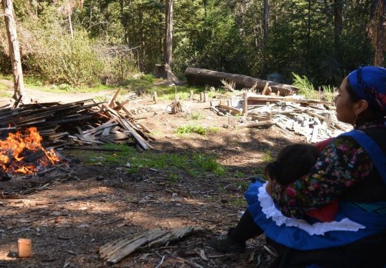 “No pretendemos ser dueños, tenemos un vínculo ancestral con el territorio”