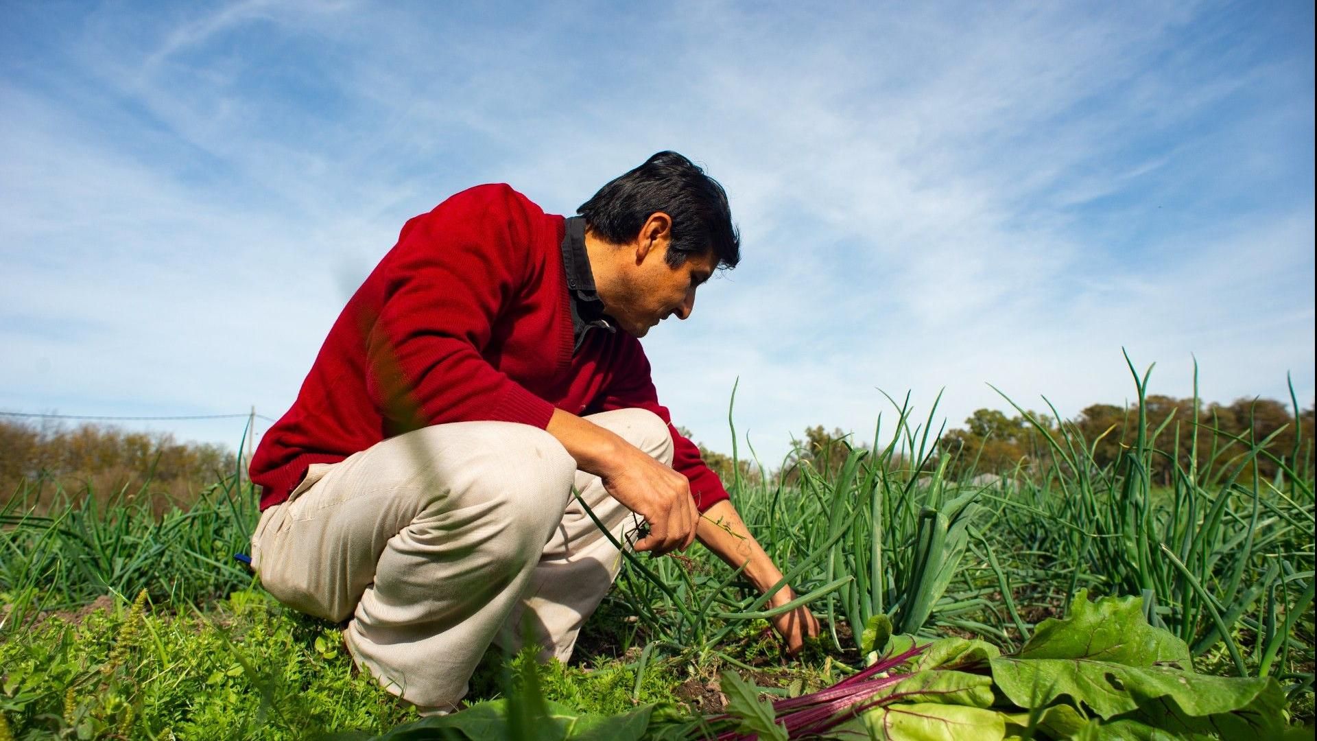 Congreso de Agroecología de los Pueblos, del monocultivo a la biodiversidad