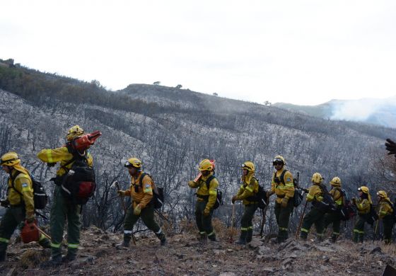 La precarización como política de Estado