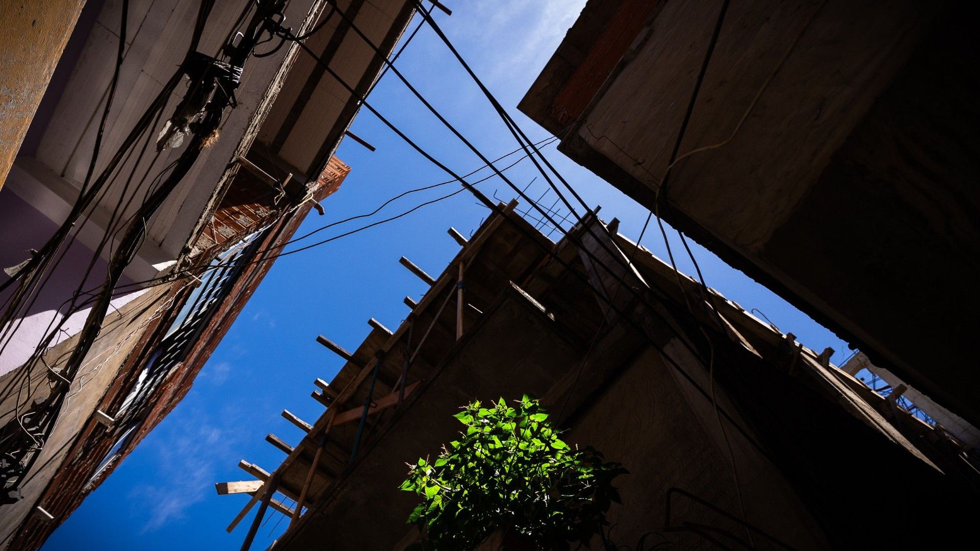 Riesgo eléctrico: cuando el Estado apaga la luz