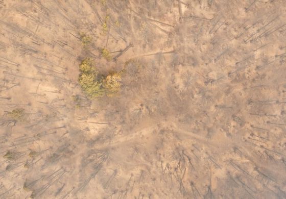 El piroceno: cuando el fuego domina el paisaje