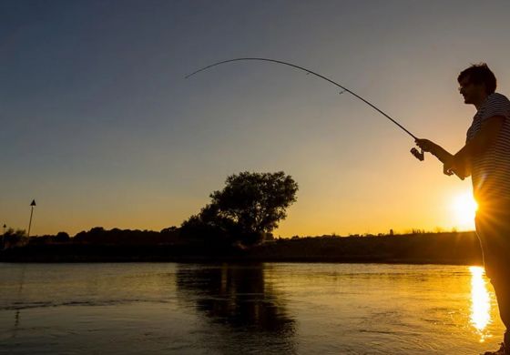 Pesca de mañana, de día o de noche: cuándo están más activos los distintos peces